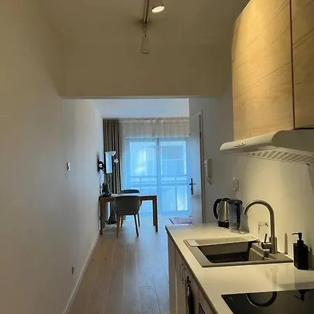 In The Center Lejlighed Kraków